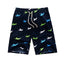 Printed Nylon Board Shorts