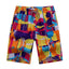 Printed Nylon Board Shorts