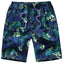 Printed Nylon Board Shorts